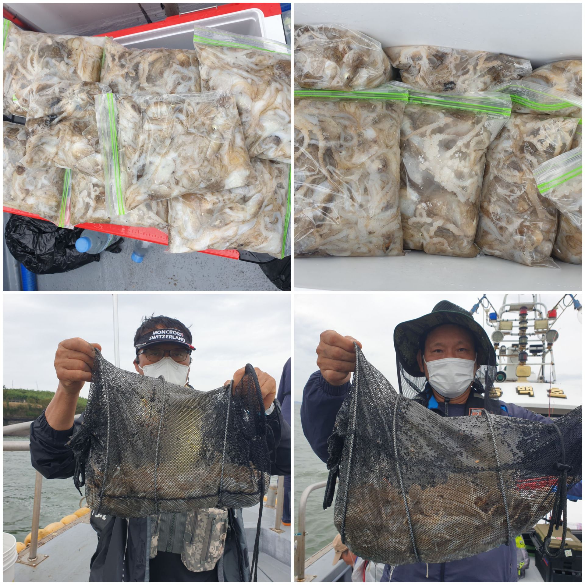 9월6일 동백호 주꾸미  조황