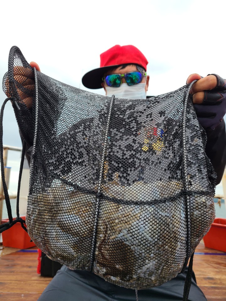 9월9일 뉴대성호 주꾸미조황