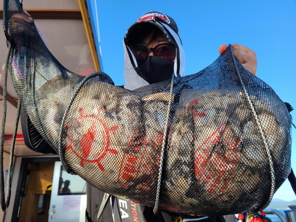 9월18일 뉴대성호 주꾸미조황