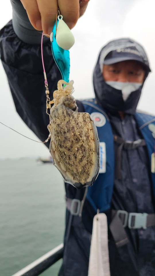 9월2일 뉴대성호 주꾸미조황