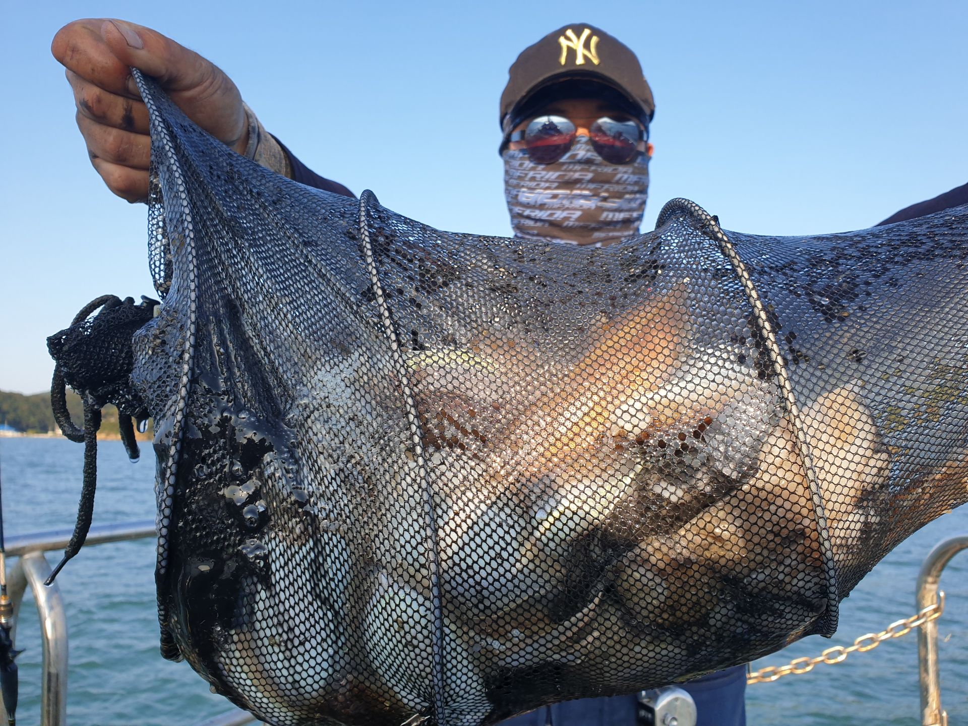 9월20일 대양호 주꾸미 조황