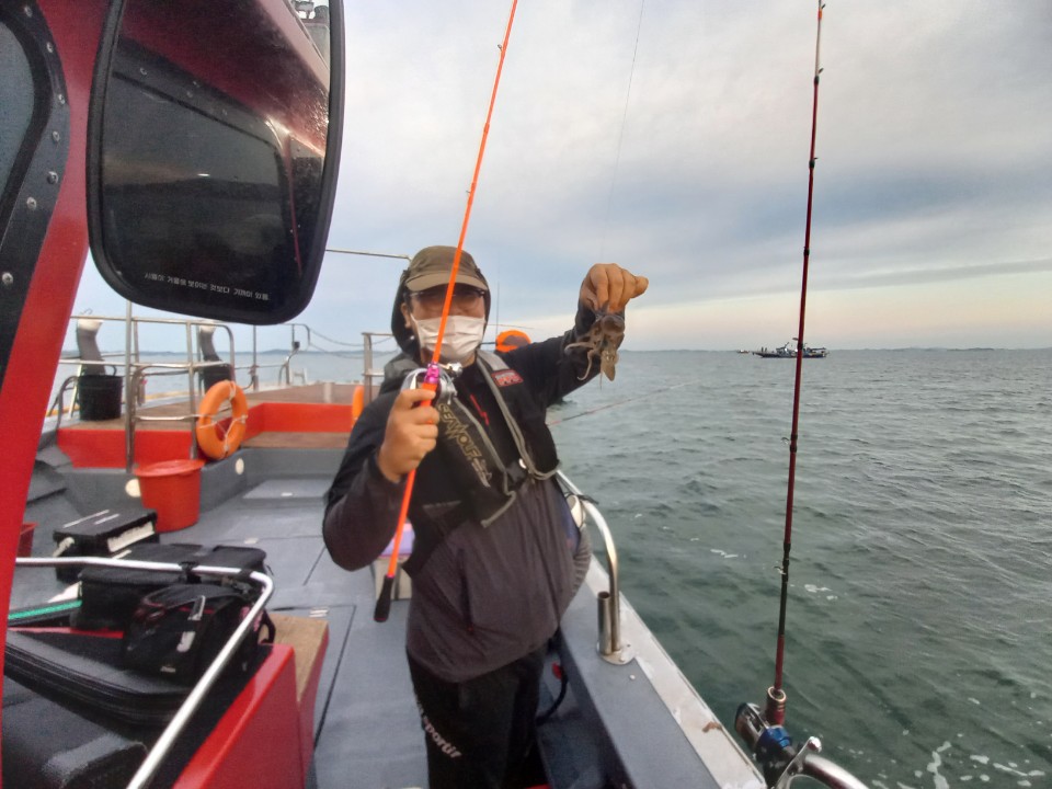 09월 22일 레드원호 쭈꾸미 조황