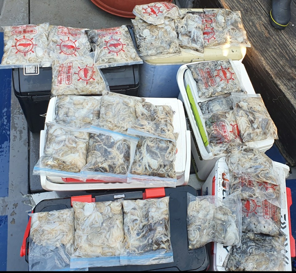 9월 14일 대성호 주꾸미조황입니다