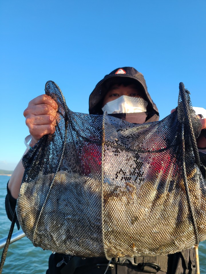 9월19일 뉴대성호 주꾸미조황