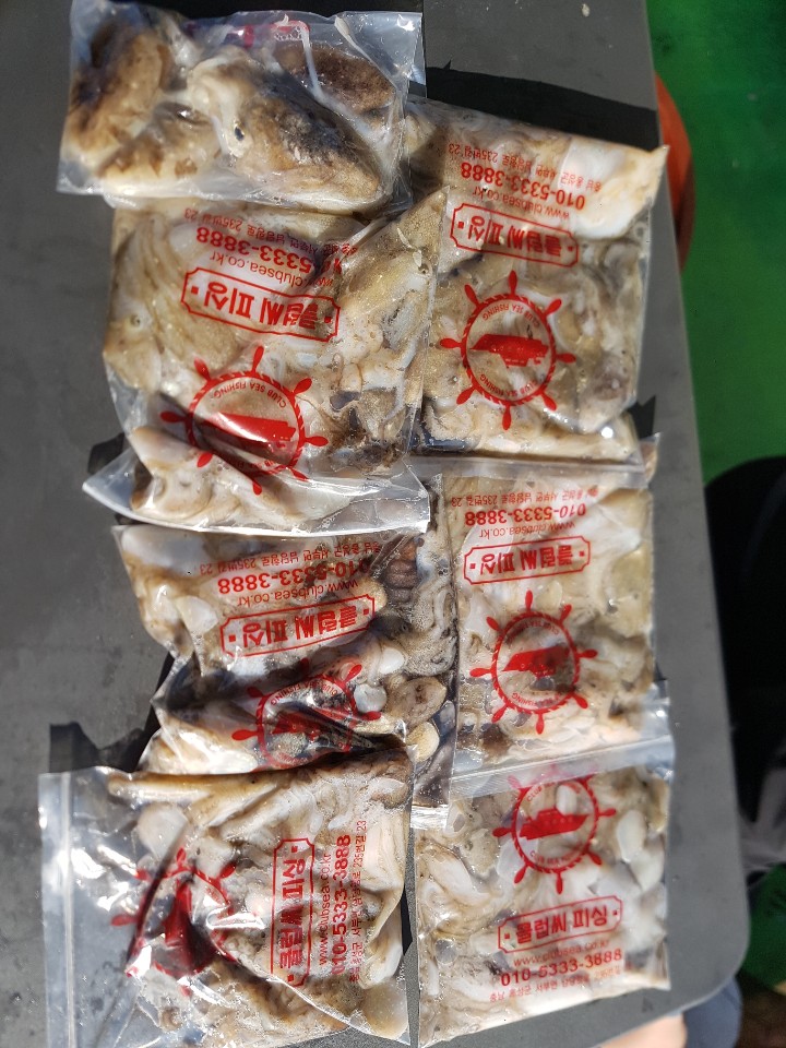 9월 13일 뉴궁리호 주꾸미 조황