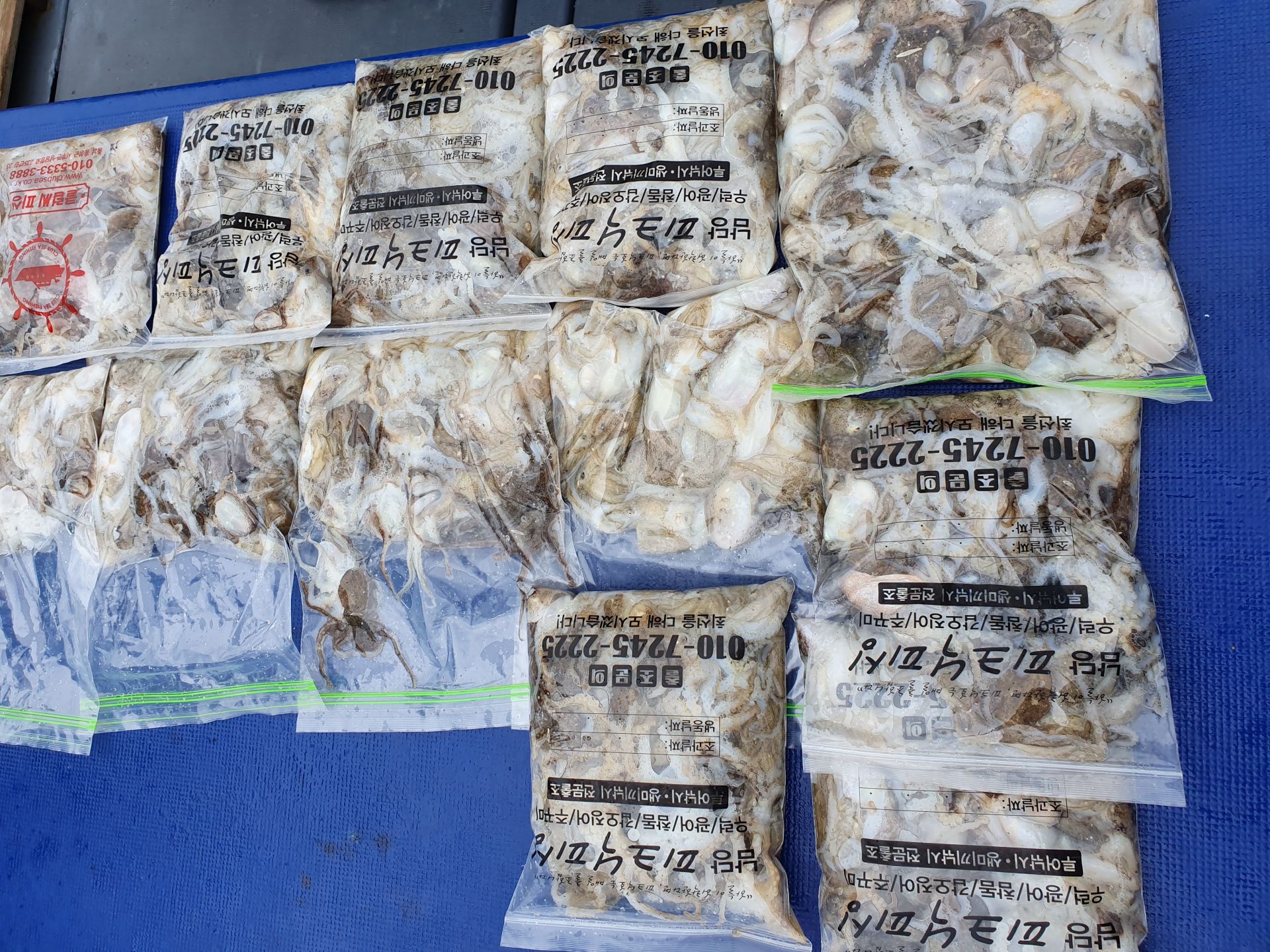 9월 6일 피크닉호 주꾸미조황