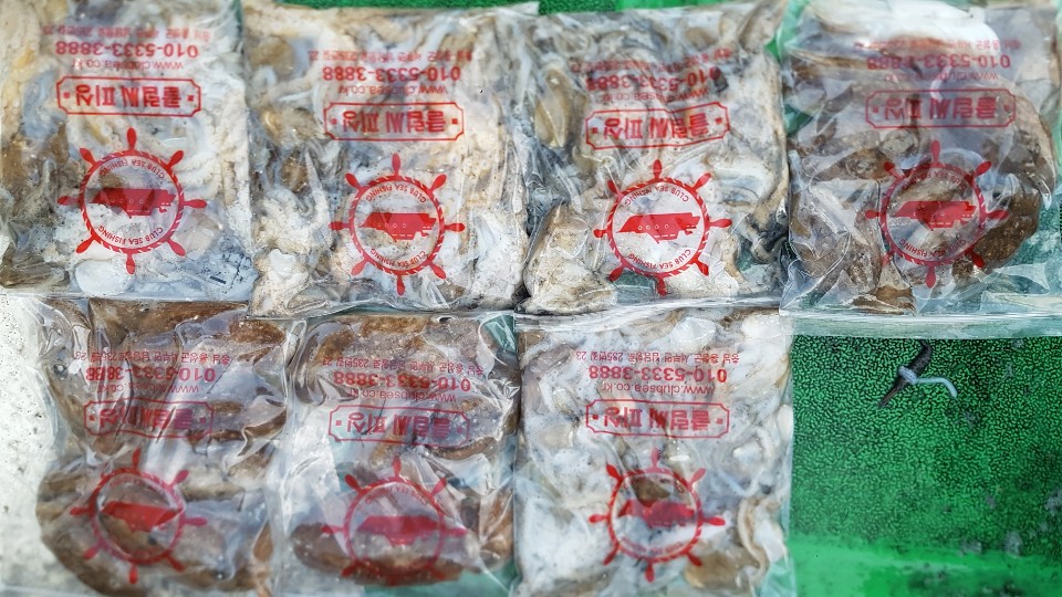 10월18일 뉴궁리호 주꾸미 조황