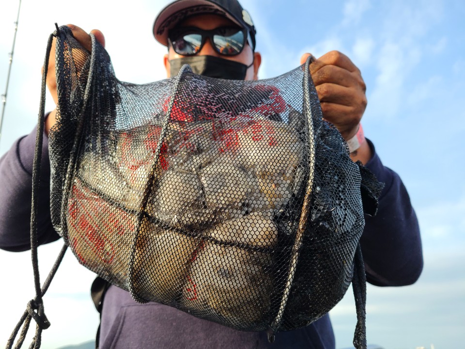 10월1일 뉴대성호 주꾸미조황