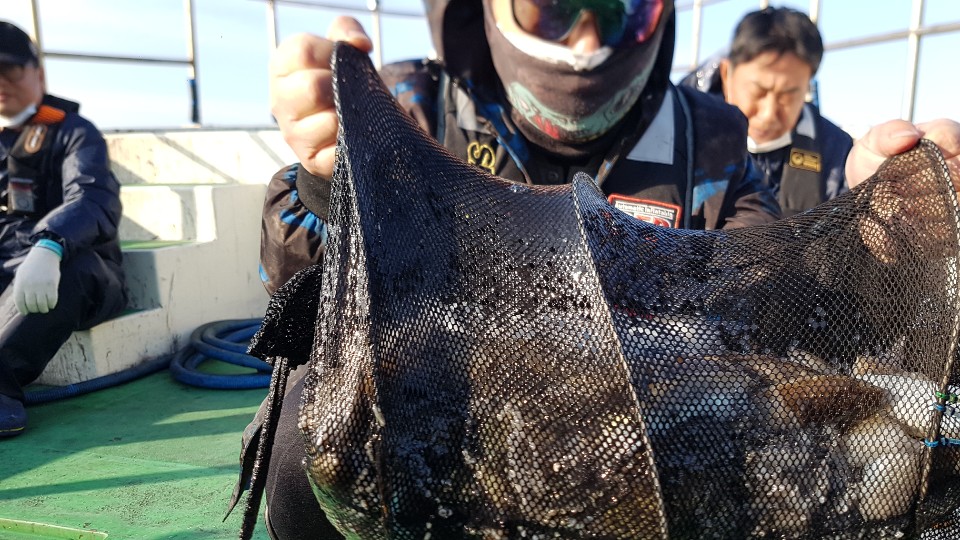 10월14일 뉴궁리호 주꾸미 조황