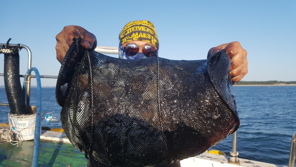 10월9일 뉴궁리호 쭈•갑 조황