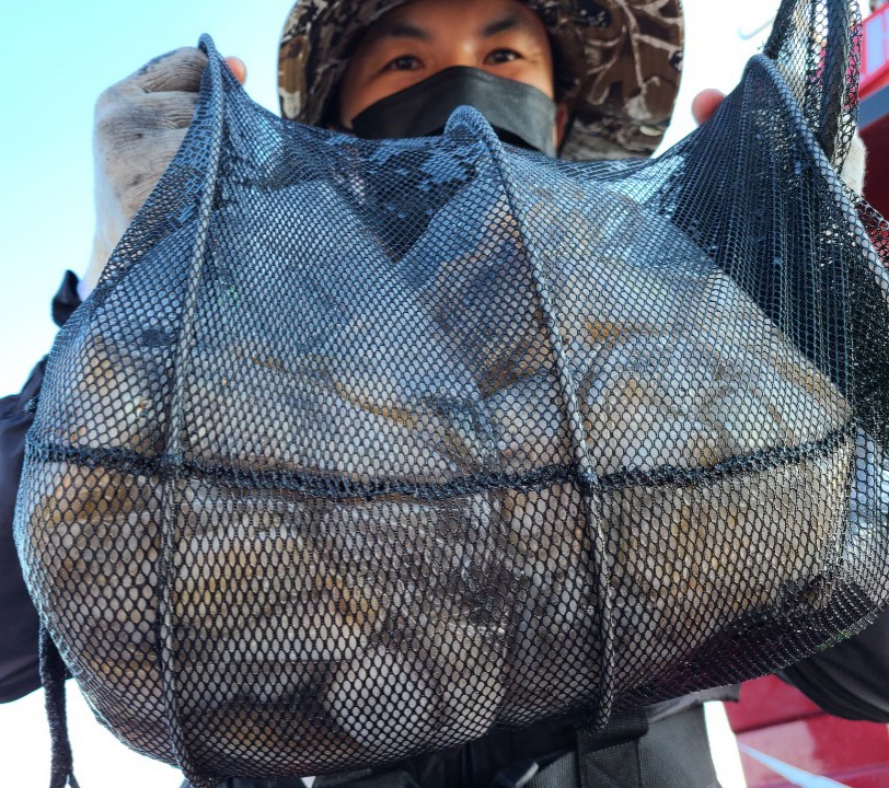 10월8일 뉴대성호 주꾸미조황