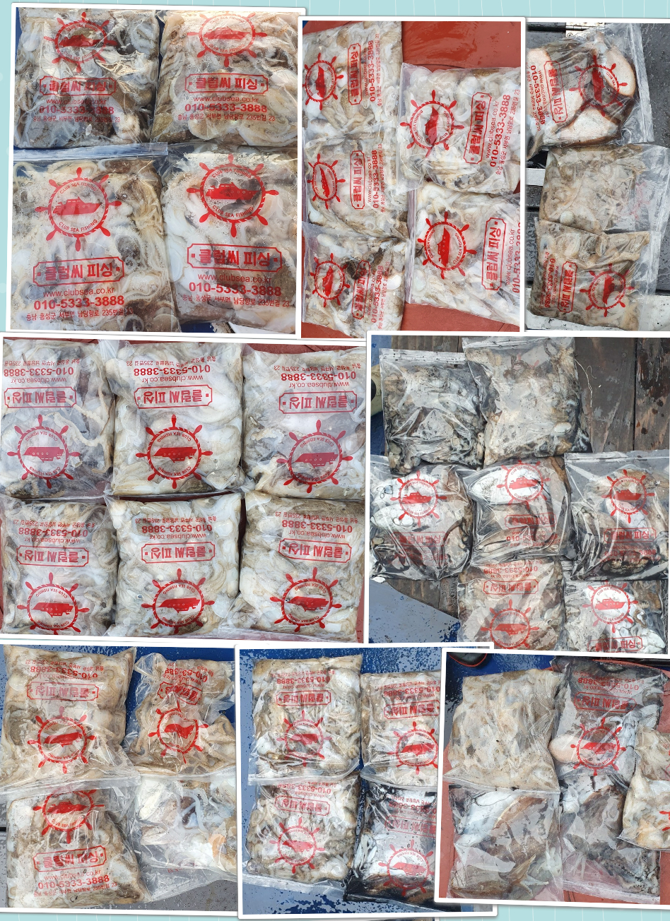 10월 21일 대성호 주꾸미조황입니다