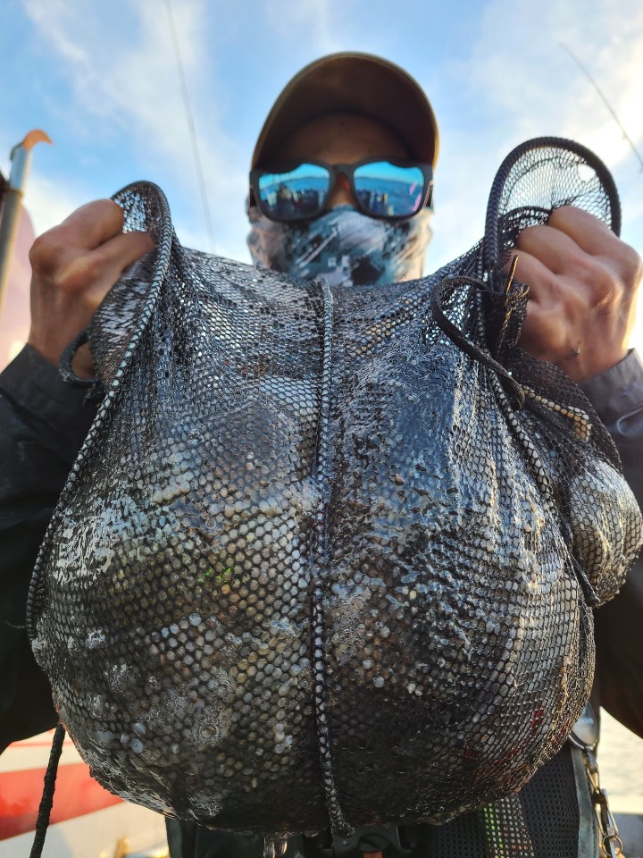 10월18일 뉴대성호 주꾸미조황