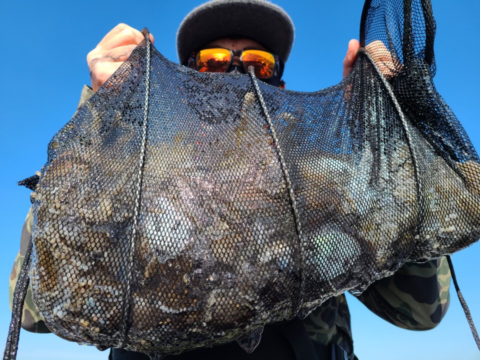 10월6일 뉴대성호 주꾸미조황