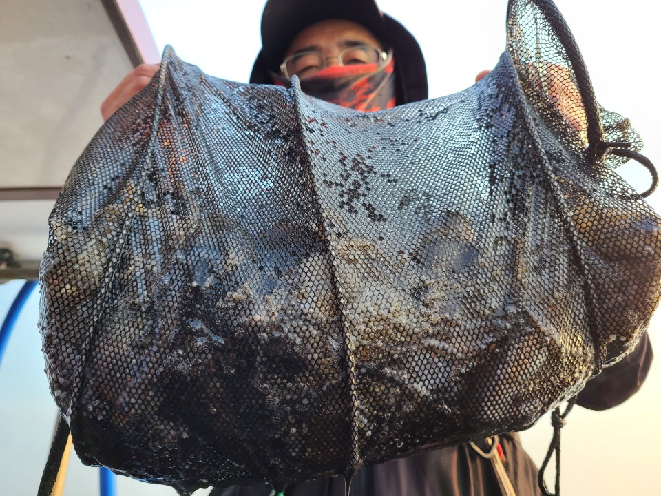 10월27일 뉴대성호 주꾸미조황