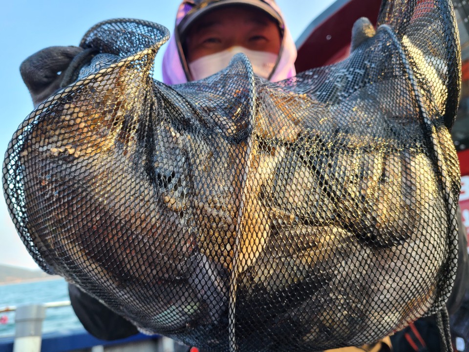 10월26일 뉴대성호 주꾸미조황