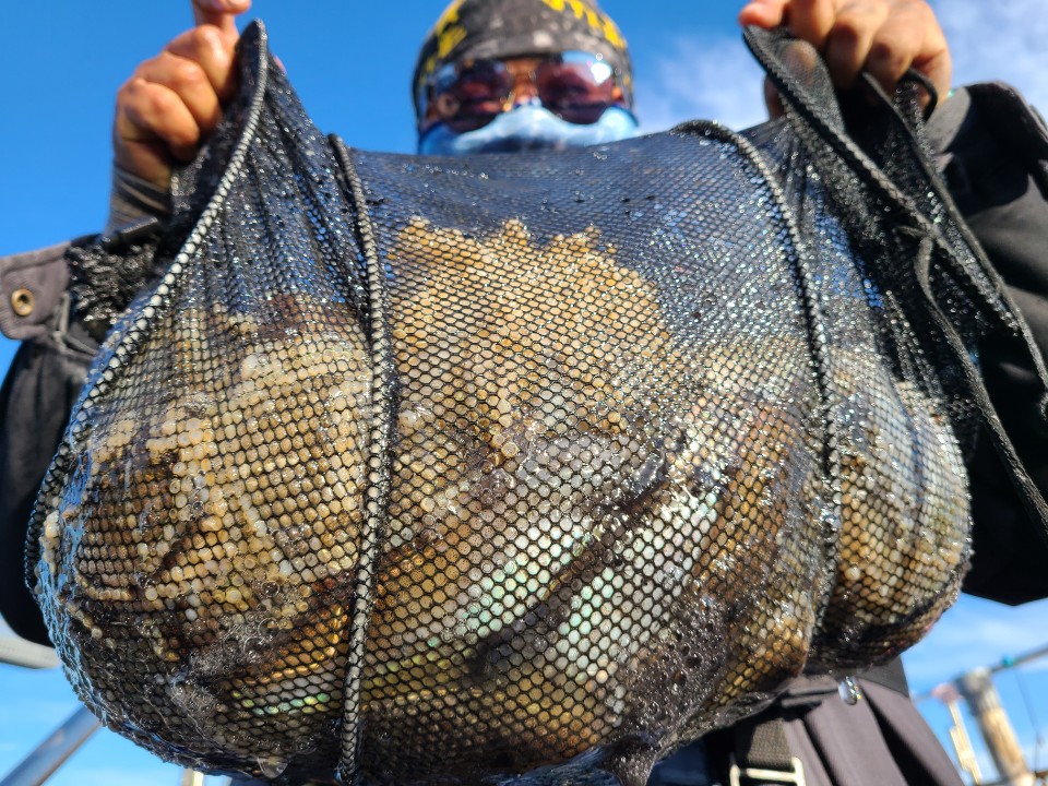 10월28일 뉴대성호 주꾸미조황