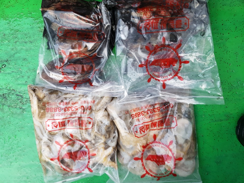 10월27일 뉴궁리호 주꾸미 조황