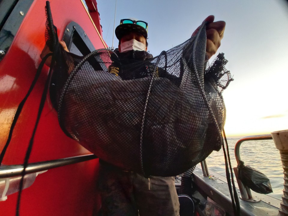 10월 25일 레드원호 주꾸미 조황