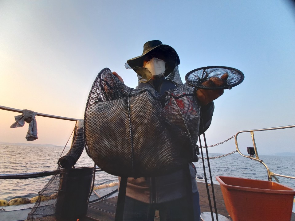 10월 27일 레드원호 주꾸미 조황