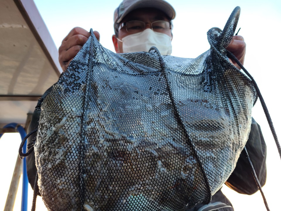 10월20일 뉴대성호 쭈갑조황