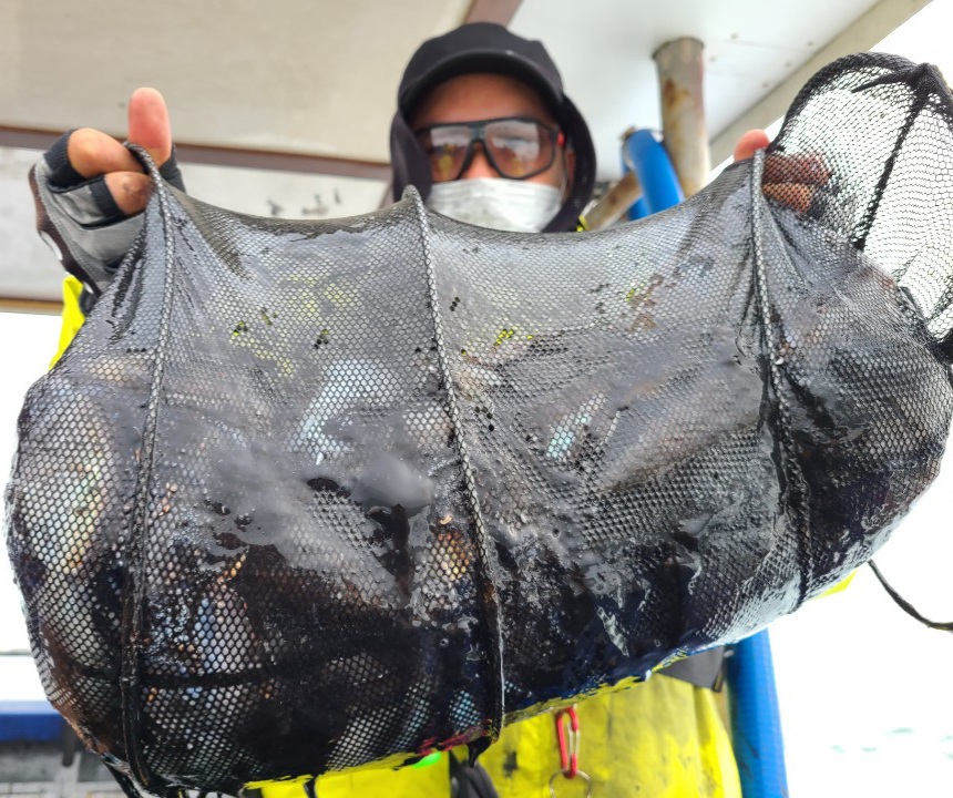 10월16일 뉴대성호 주꾸미조황