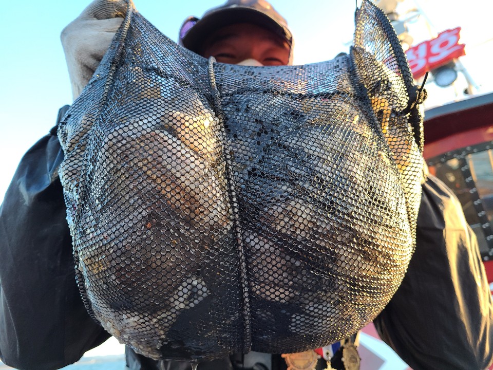 10월25일 뉴대성호 주꾸미조황