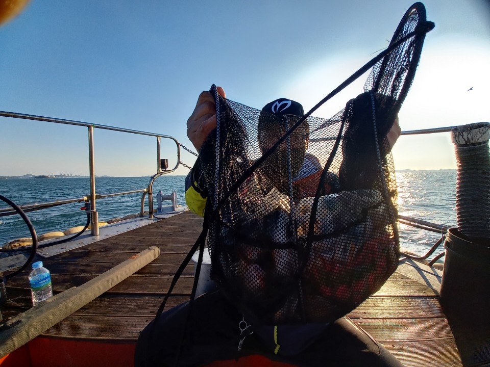 10월 17일 레드원호 주꾸미 조황