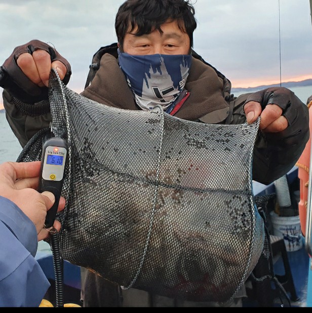 11월 9일 대성호 주꾸미조황입니다