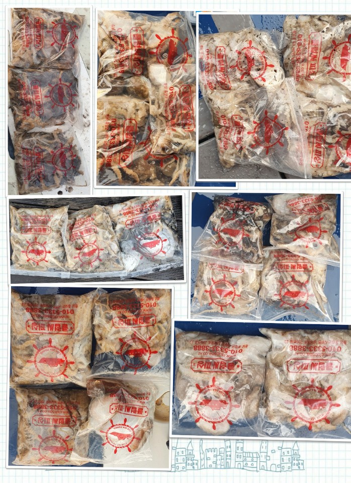 11월 5일 대성호 주꾸미조황입니다