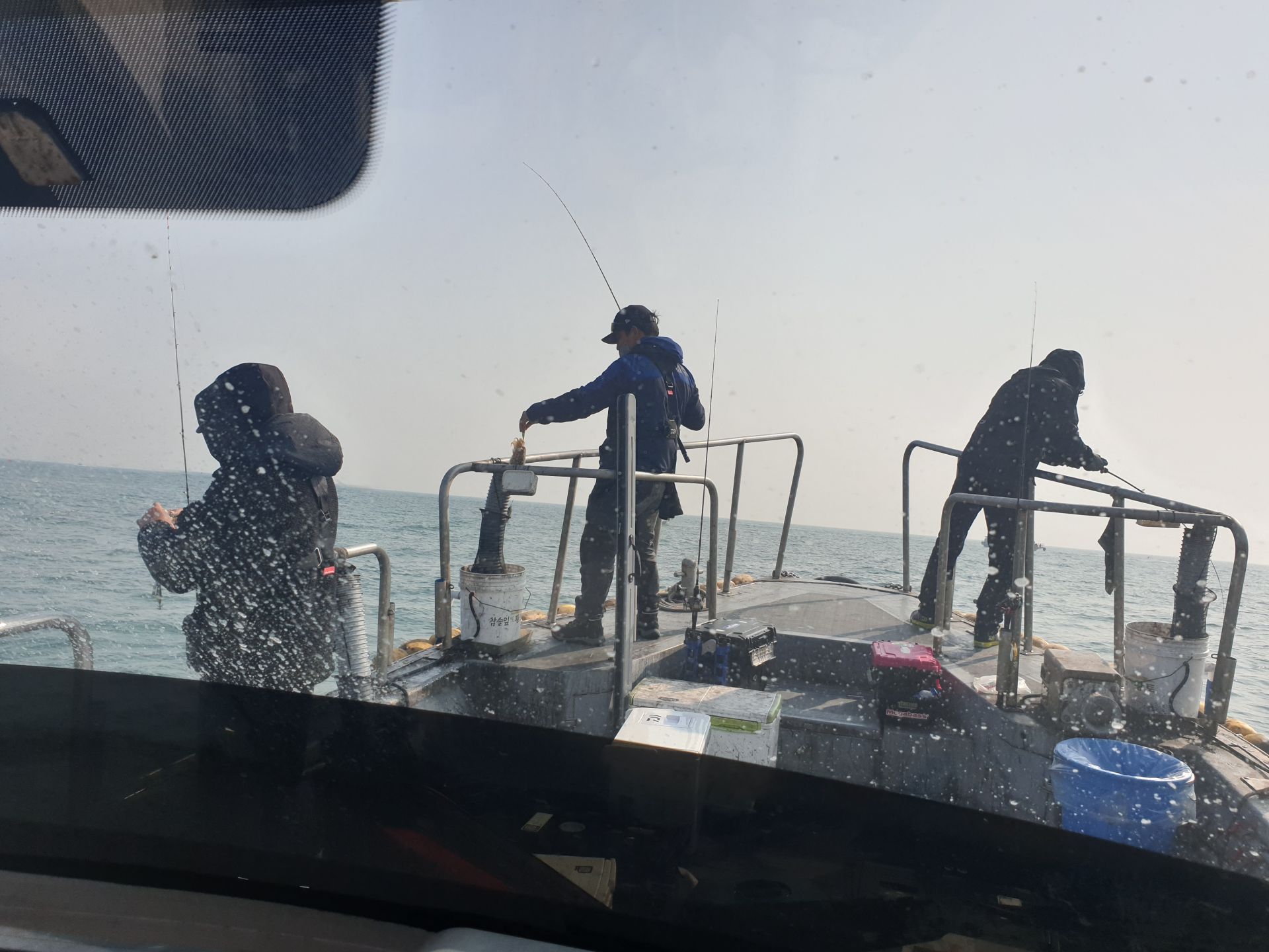 11월7일 동백호 쭈갑  조황