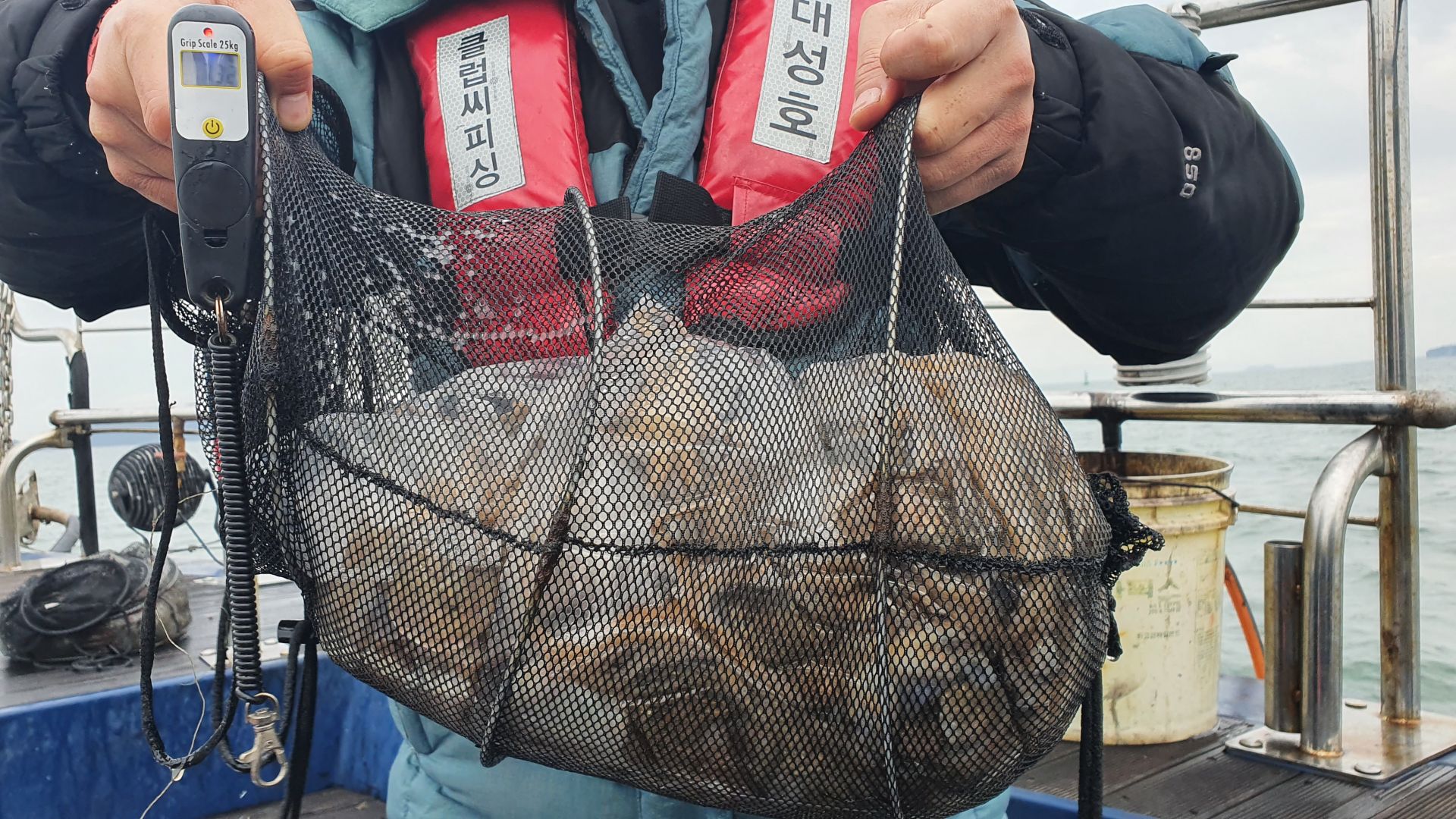 11월 6일 대성호 주꾸미조황입니다