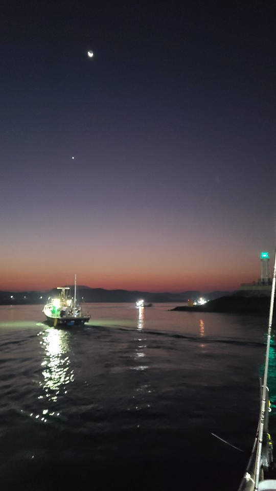 11월 12일 뱃지 주인공은 뉴규??