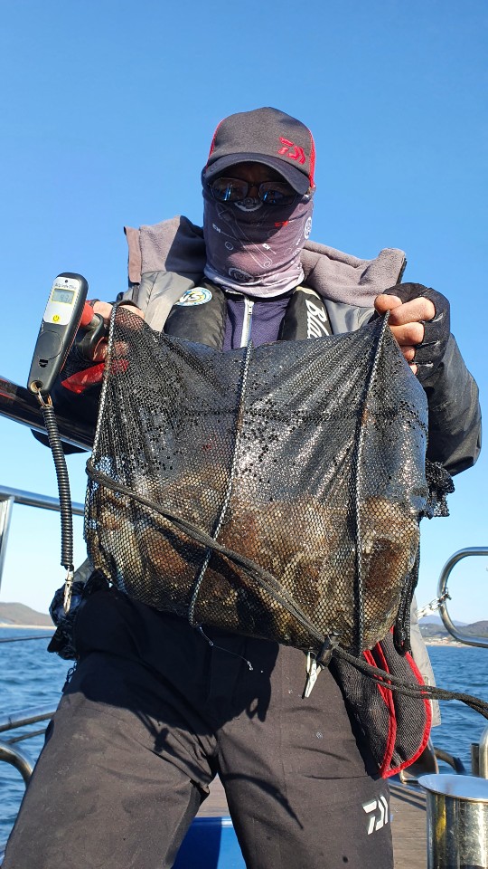 11월 10일 대성호 주꾸미조황입니다