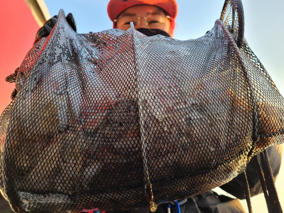 11월26일 뉴대성호 주꾸미조황