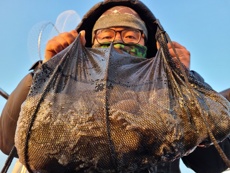 11월25일 뉴대성호 주꾸미조황