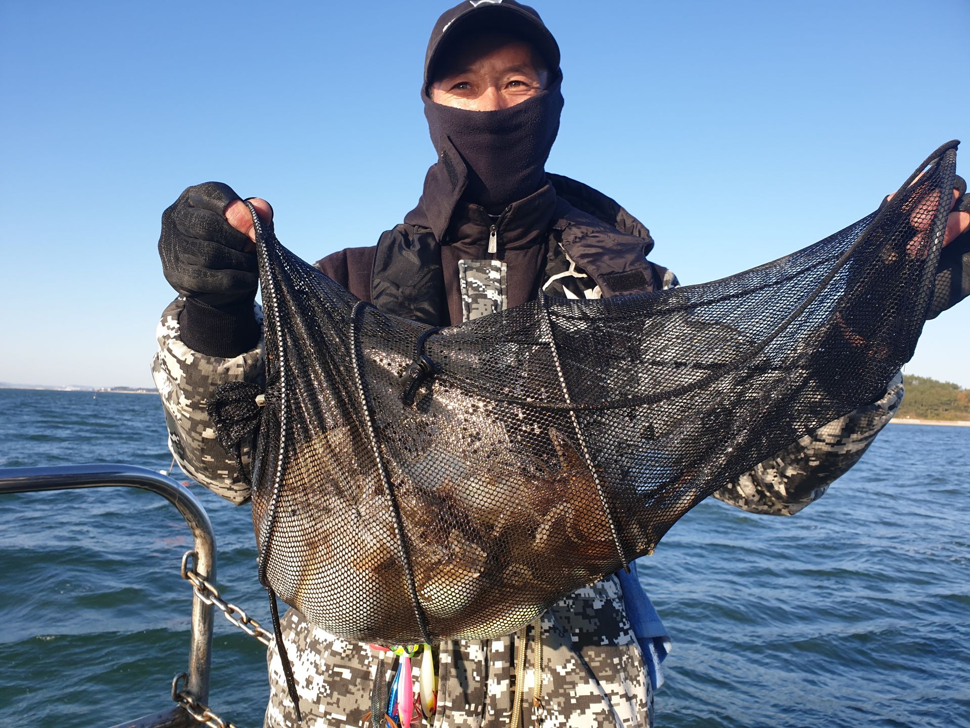 11월4일 대양호 주꾸미조황