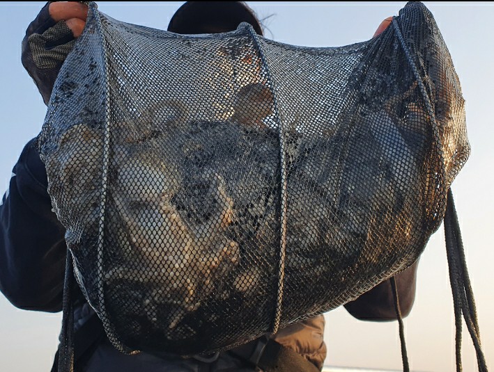 11월 7일 대성호 주꾸미조황입니다