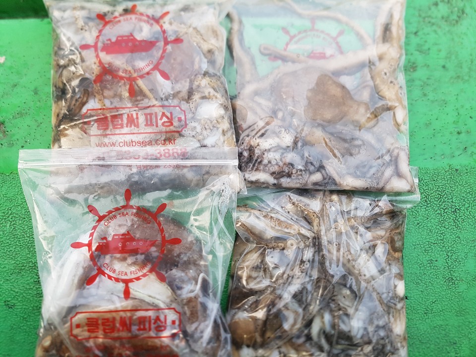 11월9일 뉴궁리호 주꾸미 조황