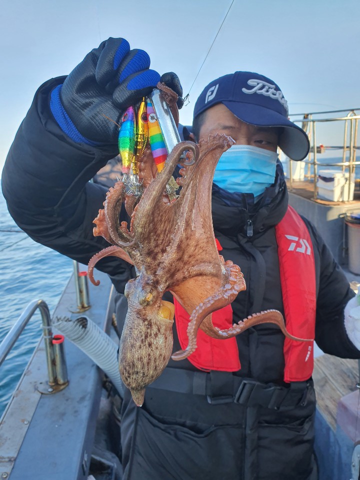 11월11일 뉴궁리호 문어 조황