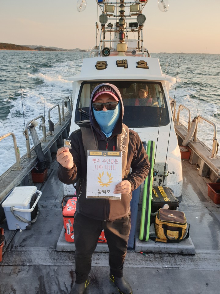 11월 2일 뱃지 주인공은 뉴규??