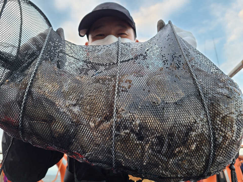 11월9일 뉴대성호 주꾸미조황