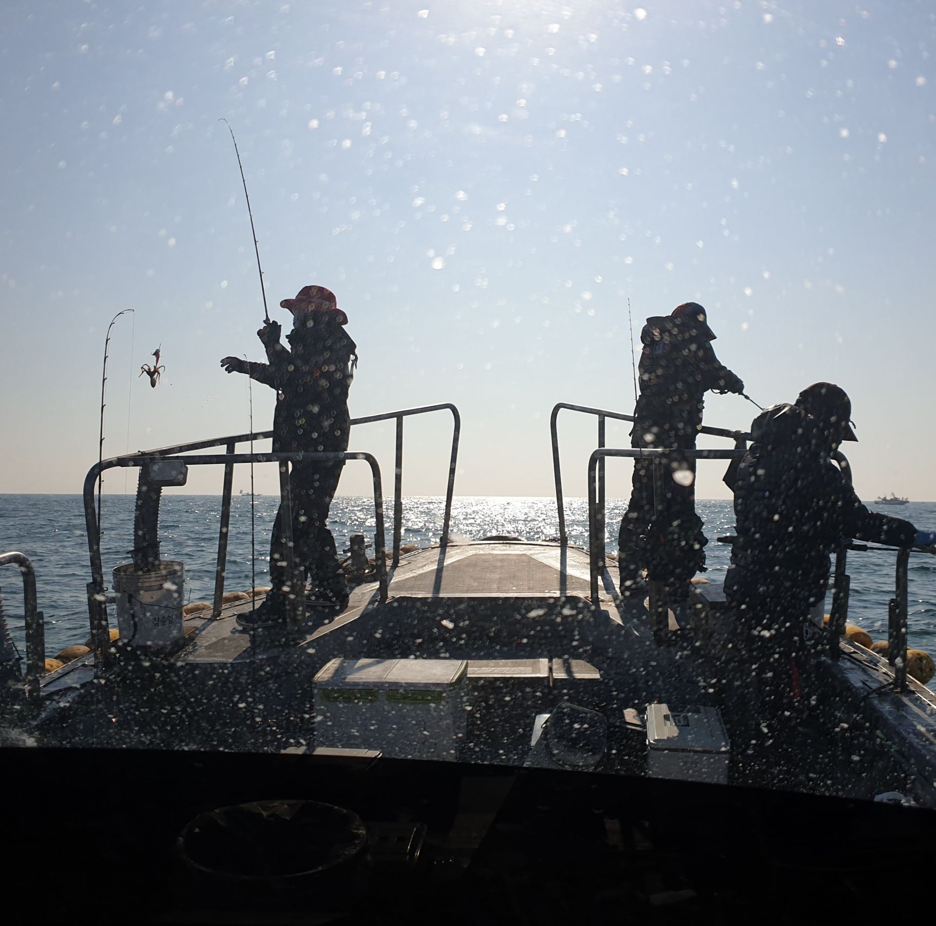 11월12일 동백호 쭈갑조황