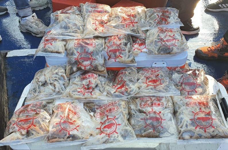 11월 13일 대성호 우럭,주꾸미조황입니다