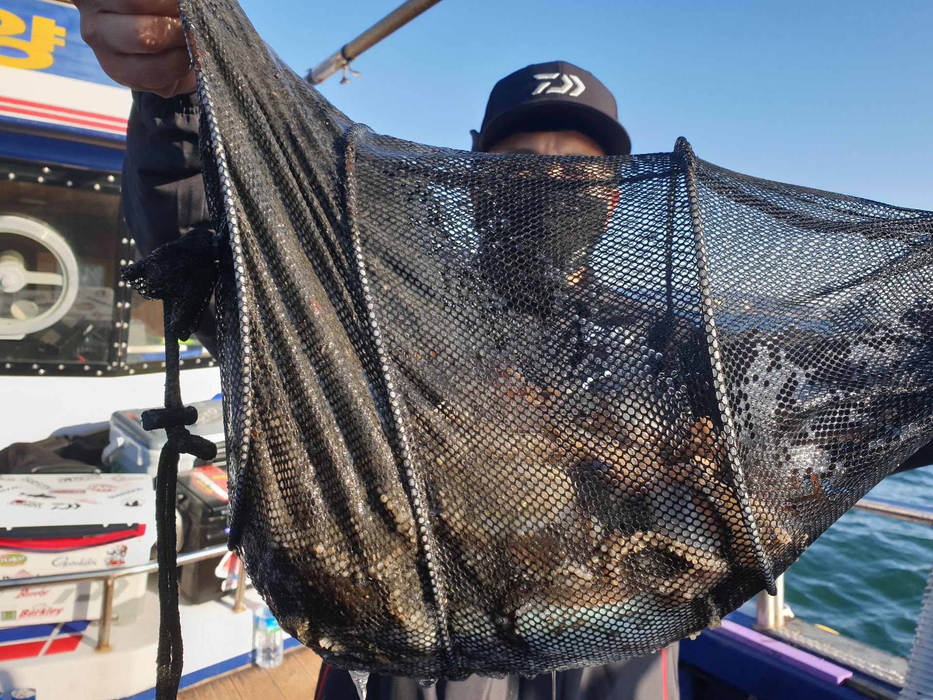 11월10일 대양호 주꾸미조황