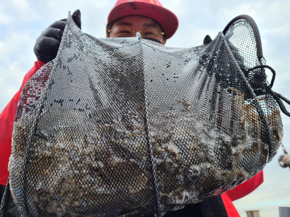 11월6일 뉴대성호 주꾸미조황