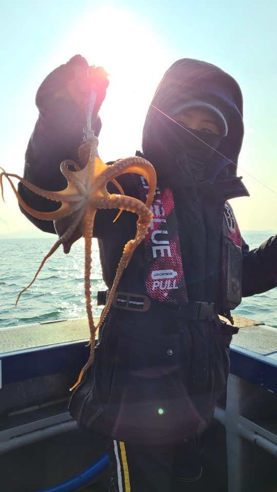 12월22일 뉴대성호 주꾸미조황