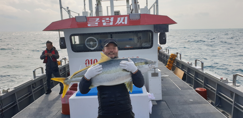 1월21일 완도 클럽씨호 방어조업중 대물히트 영상