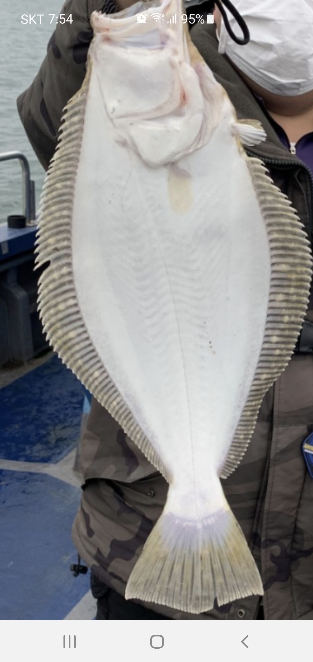 3월 27일 대성호 사무장님과 함께 광어탐사