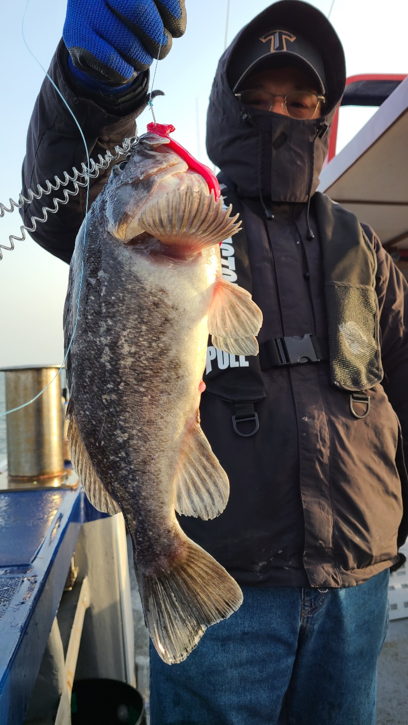 3월23일 뉴대성호 내만우럭조황